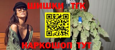 индика Моздок