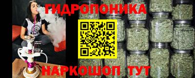 индика Моздок