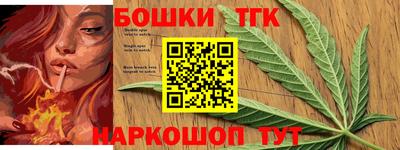 индика Моздок