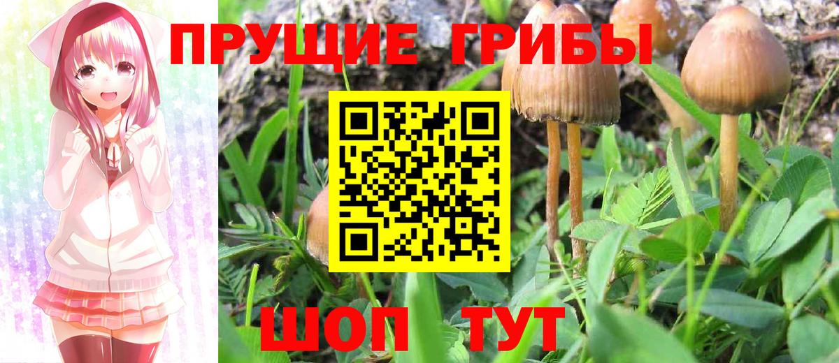 Псилоцибиновые грибы Psilocybe Учалы